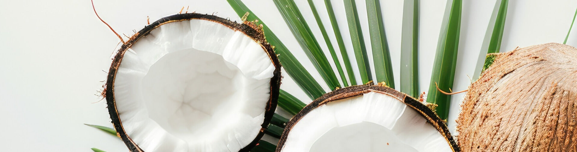 Coconuts used to make coconut oil